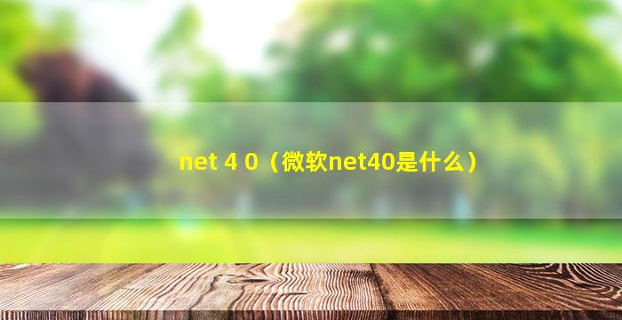 net 4 0（微软net40是什么）